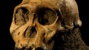 Homo naledi  жили одновременно с предками современного человека