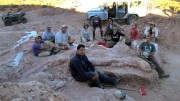 В Аргентине найдены останки первого гигантского динозавра