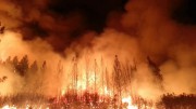 Лесные пожары в Калифорнии нанесли ущерб в 100 млн. долларов
