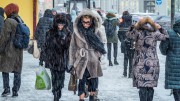 Москву накрывают лютые морозы