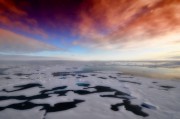 Геологи из Новосибирска ищут газ и нефть в арктическом регионе 